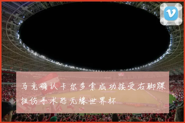 马竞确认卡尔多索成功接受右脚踝扭伤手术恐无缘世界杯